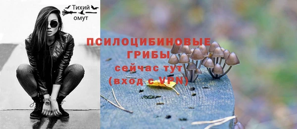 мяу мяу мука Баксан