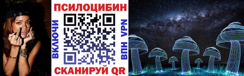 shop какой сайт  Новодвинск  Псилоцибиновые грибы Magic Shrooms 